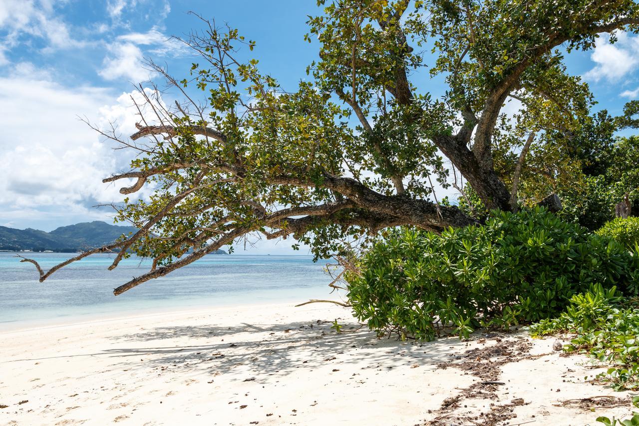 Surf Tropical Villa Seascape Cerf Island Ngoại thất bức ảnh